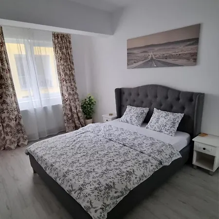 Cozy Apartment Pallady-2